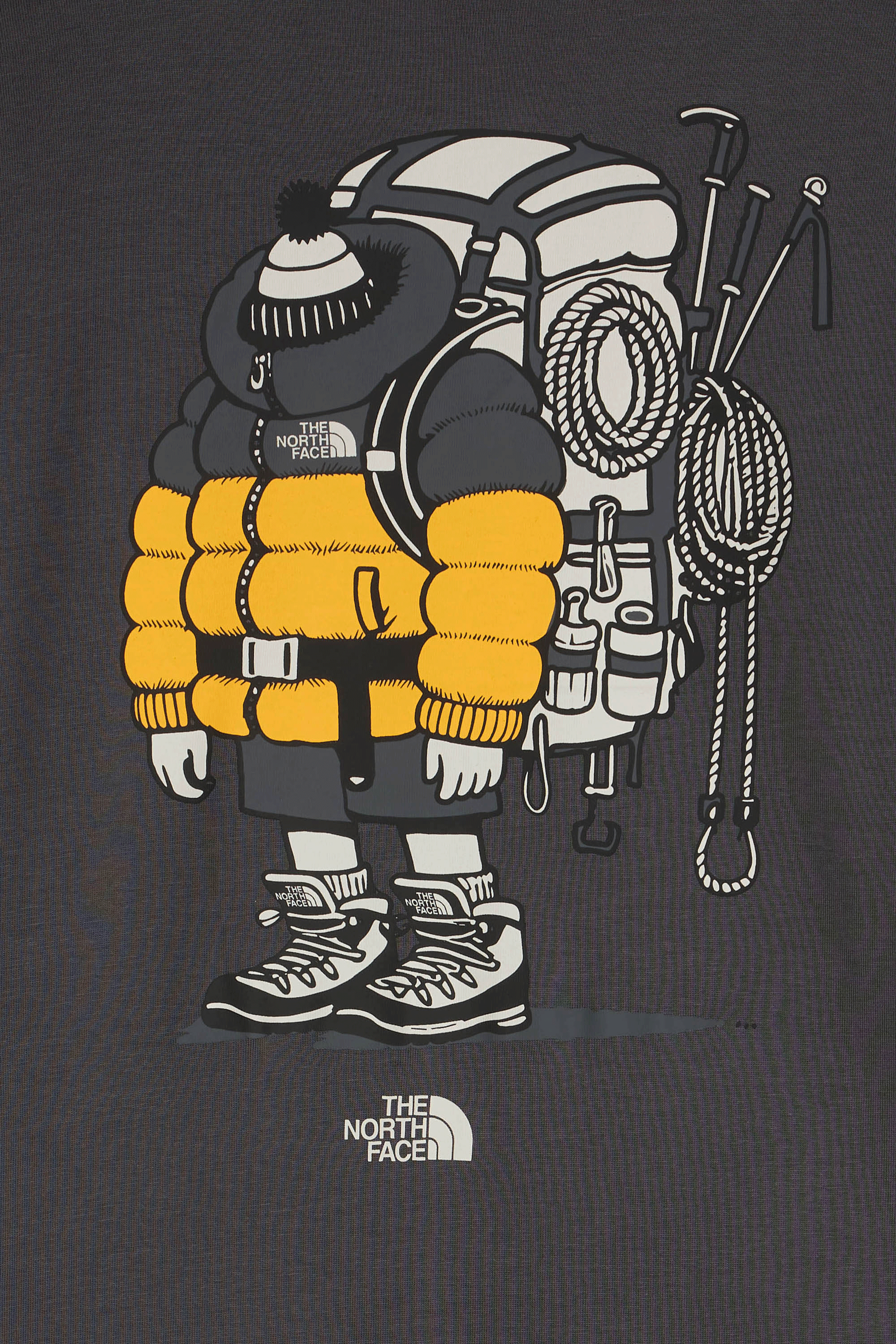 T-shirt | Gris THE NORTH FACE Femme