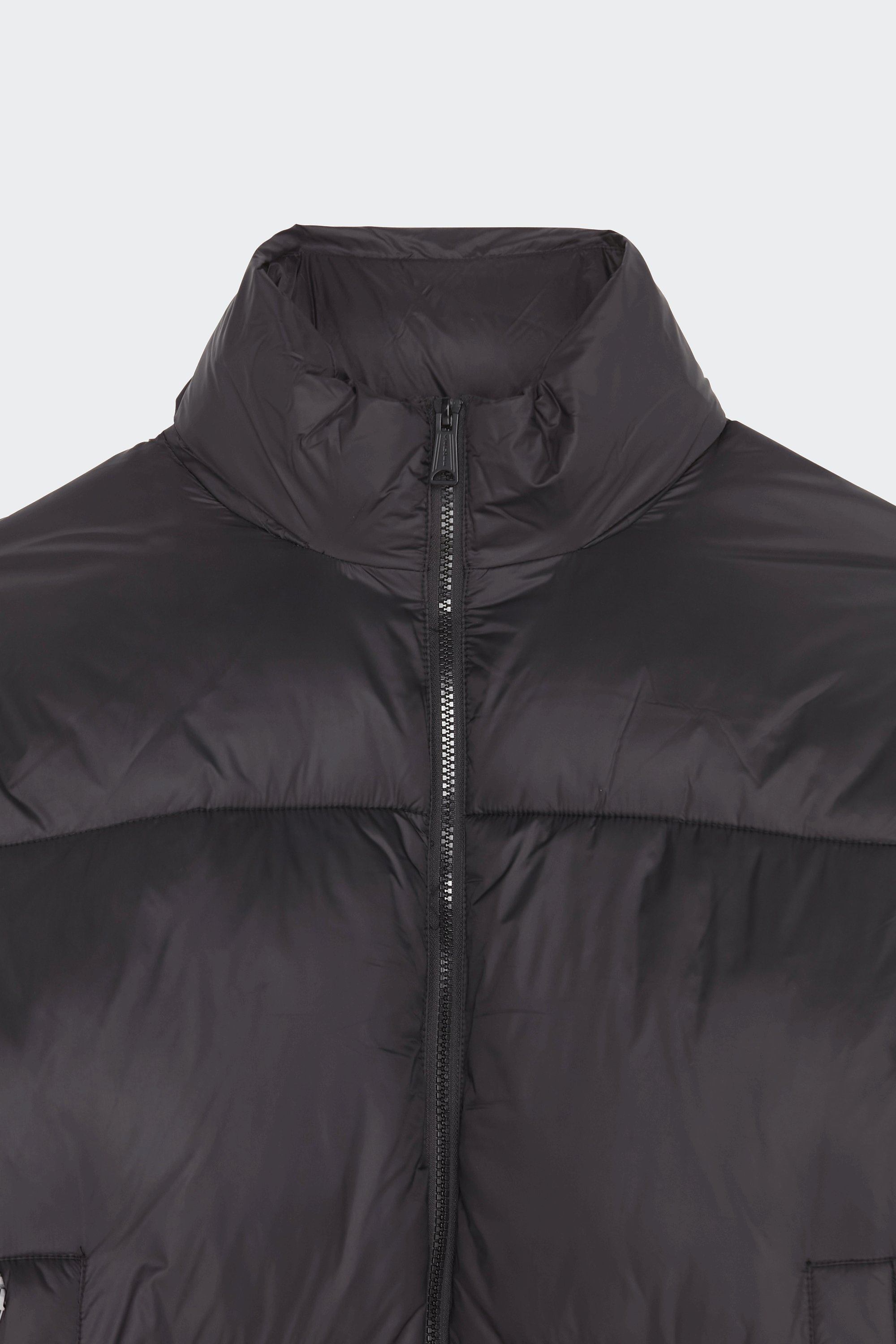 puffer coat | Black by SCHOTT puffer coat Black