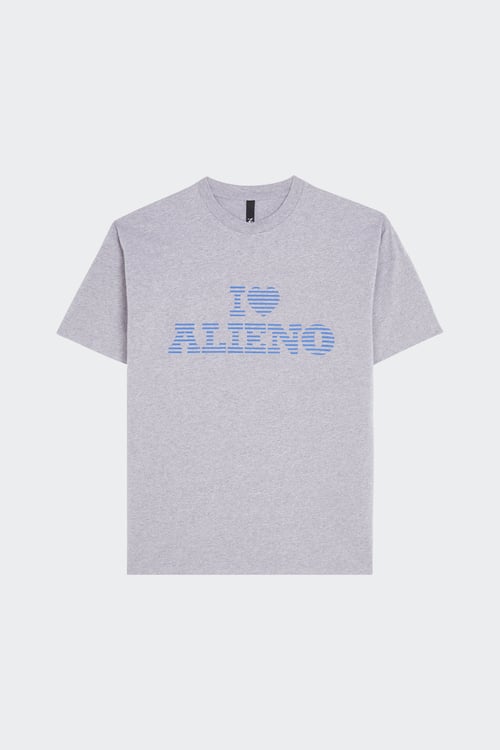 NO PROBLEMO T-shirt Gris