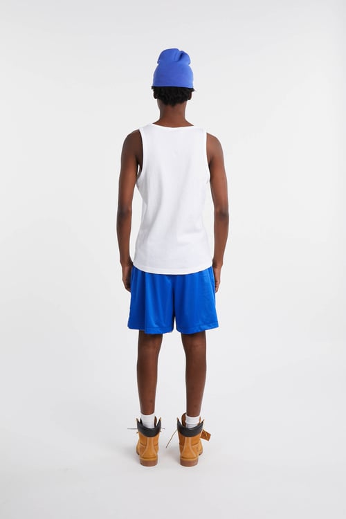 NIKE NFL Short Multicolore