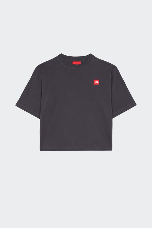 THE NORTH FACE T-shirt Gris