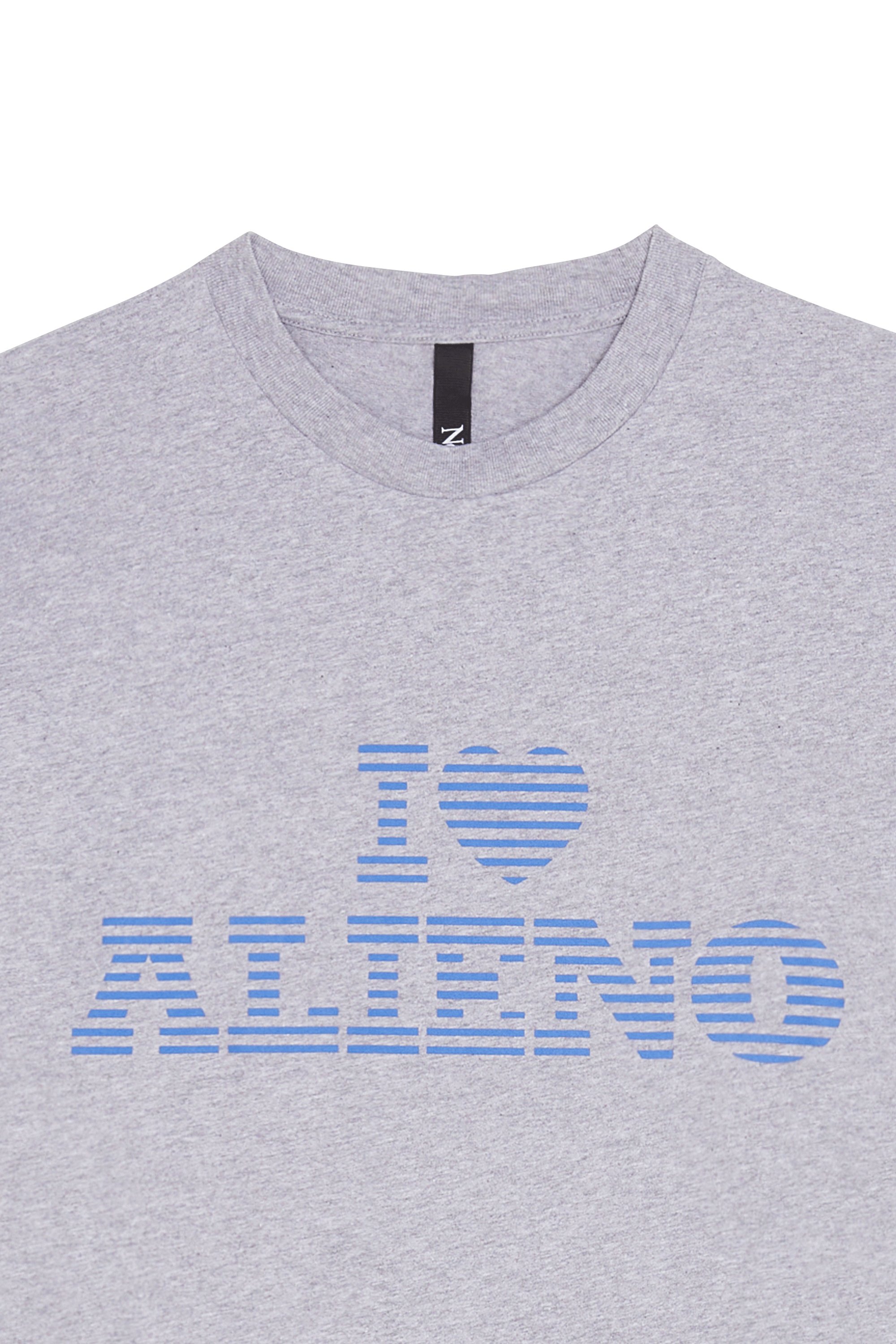 T-shirt | Grey by NO PROBLEMO T-shirt Grey