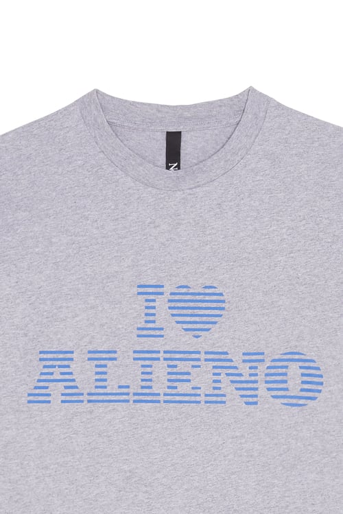 NO PROBLEMO T-shirt Gris