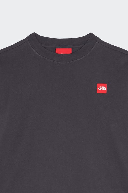 THE NORTH FACE T-shirt Gris