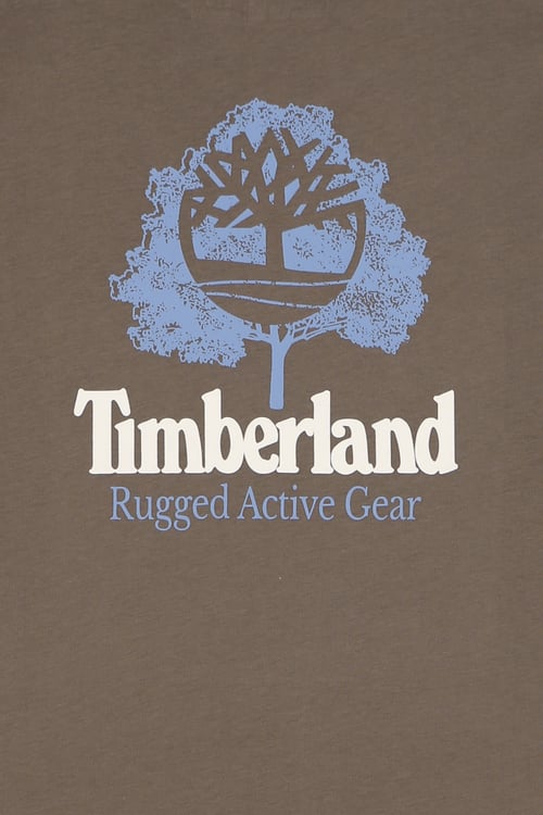 TIMBERLAND T-shirt Marron