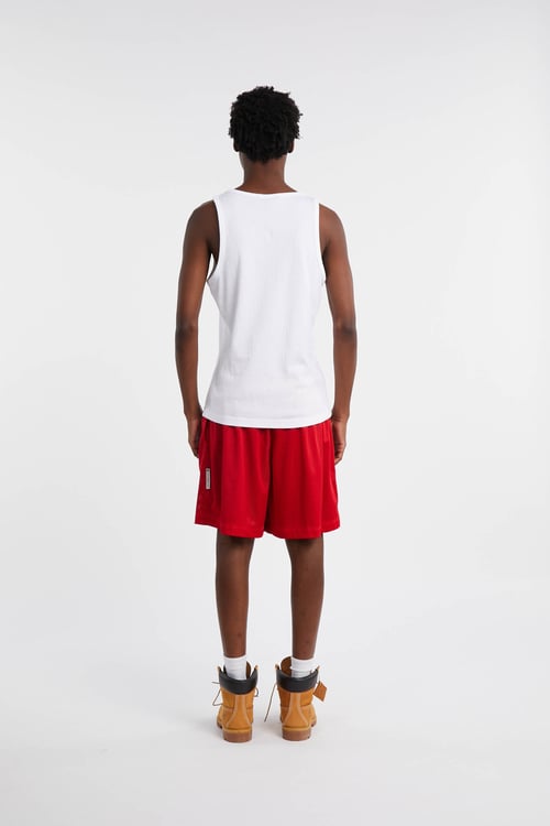 NIKE NFL Short Rouge