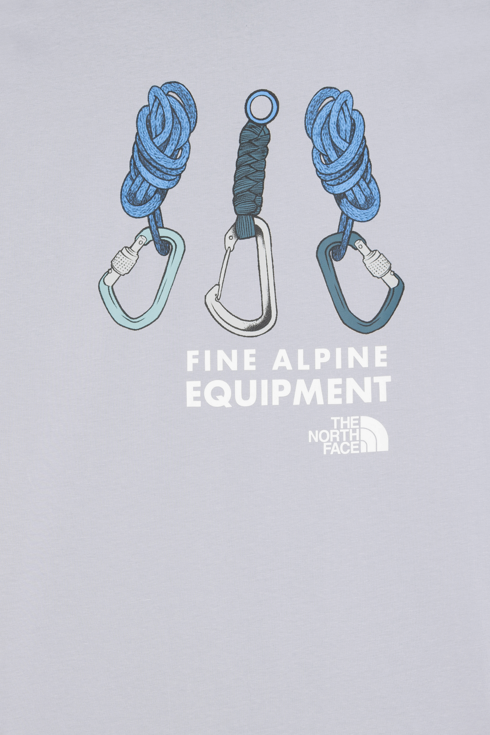 THE NORTH FACE T-shirt Gris