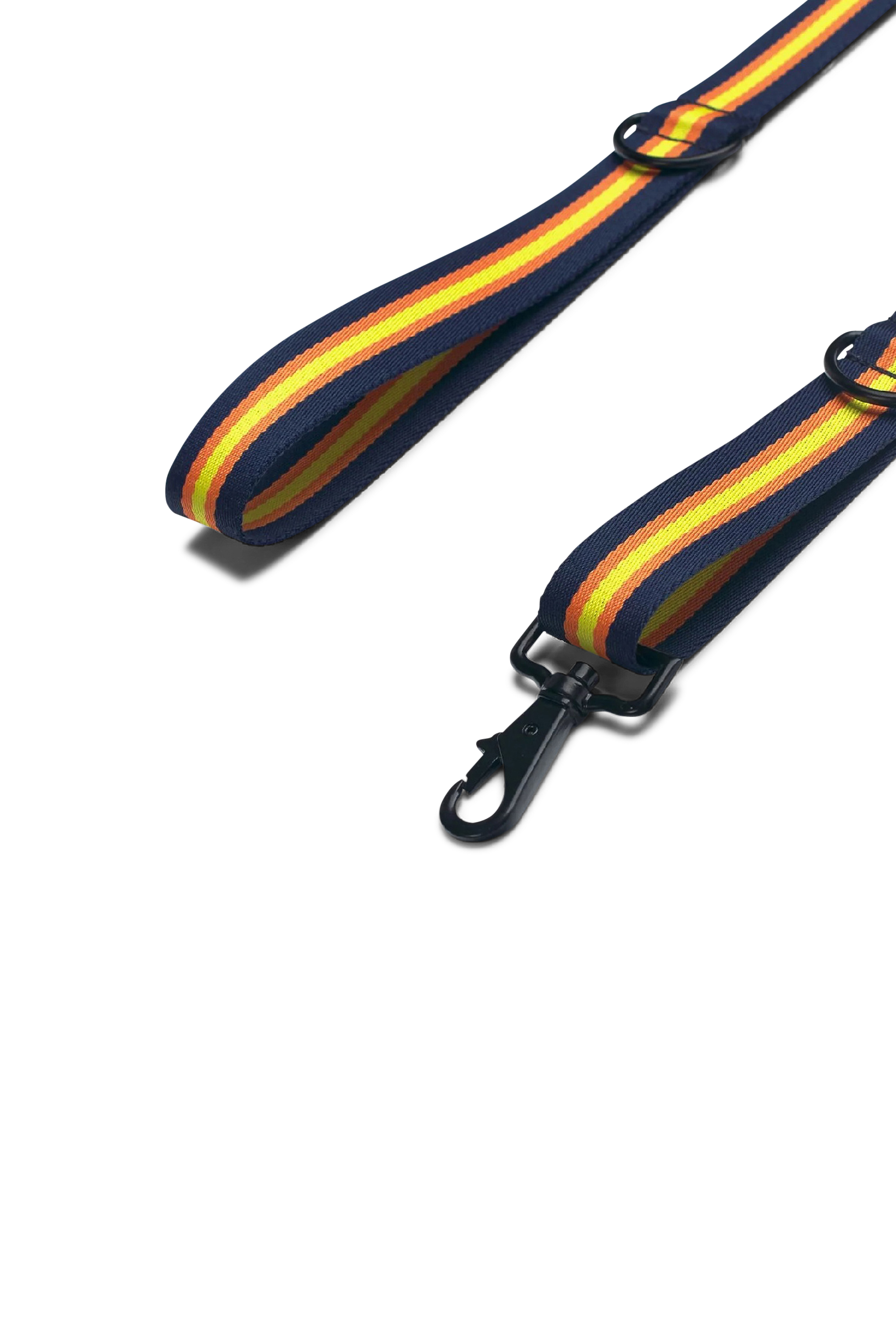 Laisse pour chien Multicolore