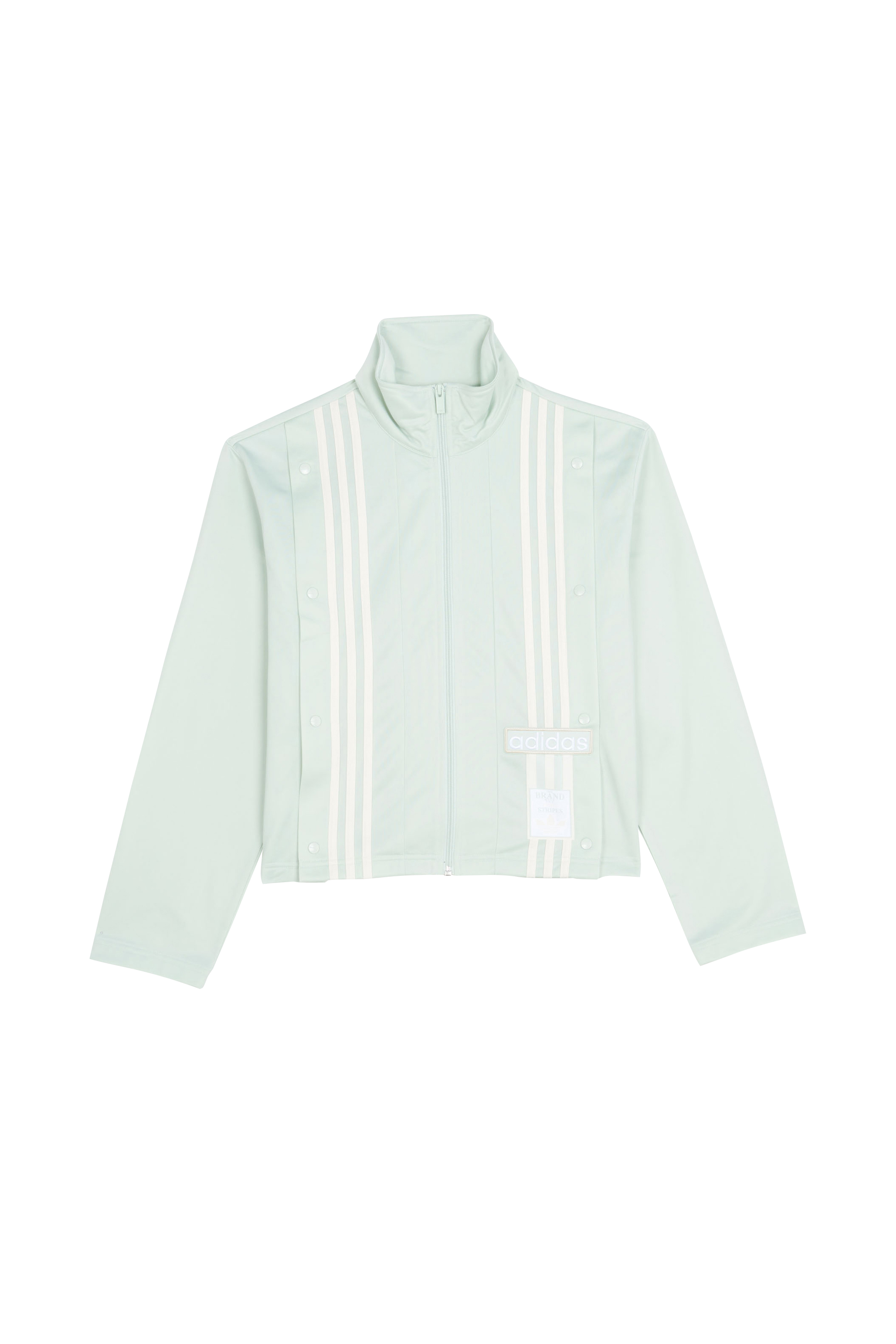 Veste Vert