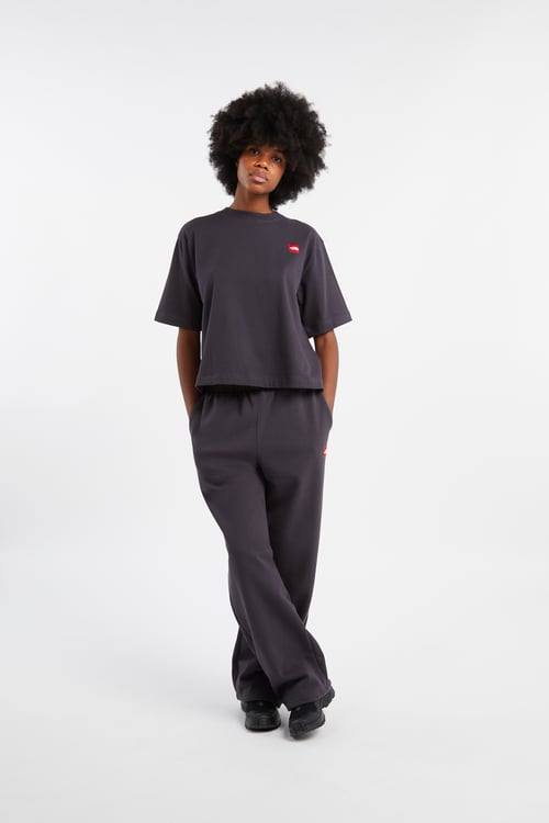 THE NORTH FACE T-shirt Gris