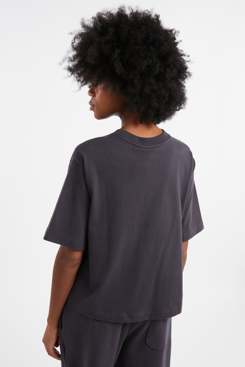 THE NORTH FACE T-shirt Gris