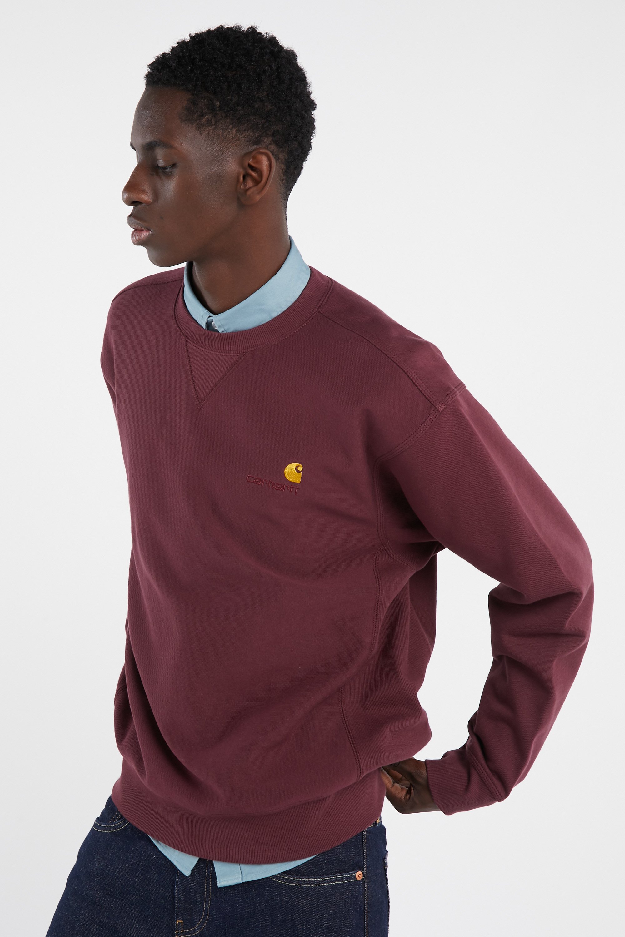 Sweatshirt | Violet CARHARTT WIP Homme