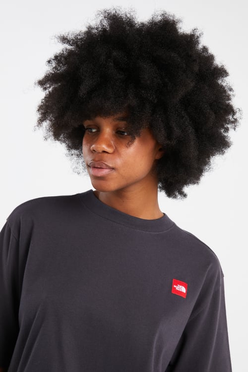 THE NORTH FACE T-shirt Gris