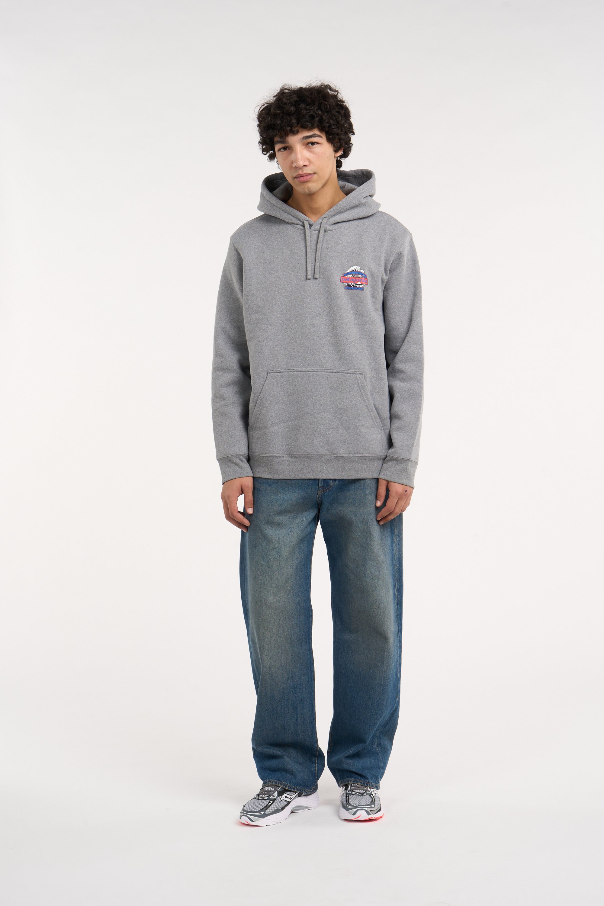 Hoodie PATAGONIA Gris