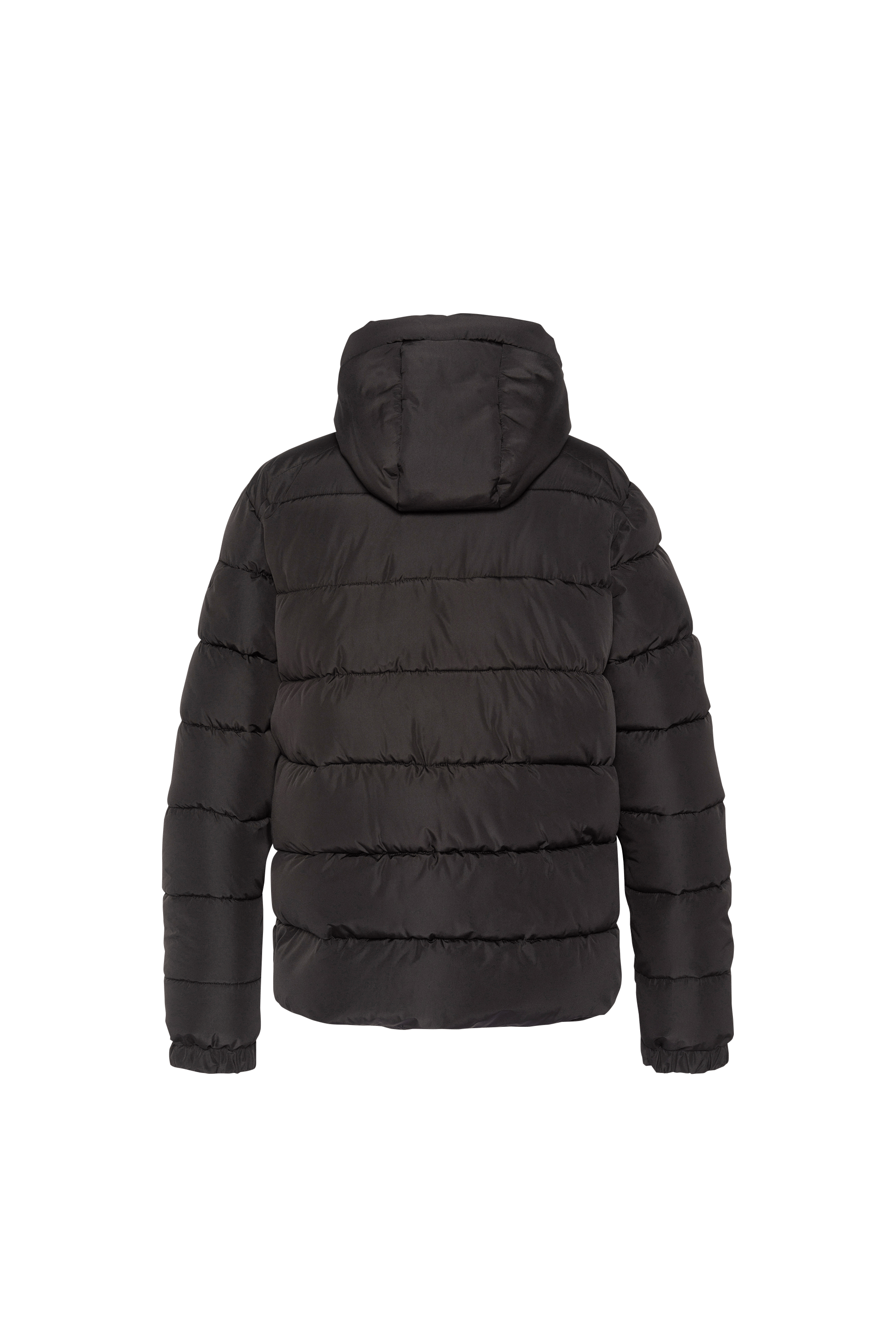 Zipped high-neck colorblock padded jacket with hood | Black SCHOTT Men
