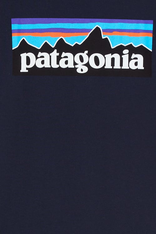 PATAGONIA T-shirt  Bleu