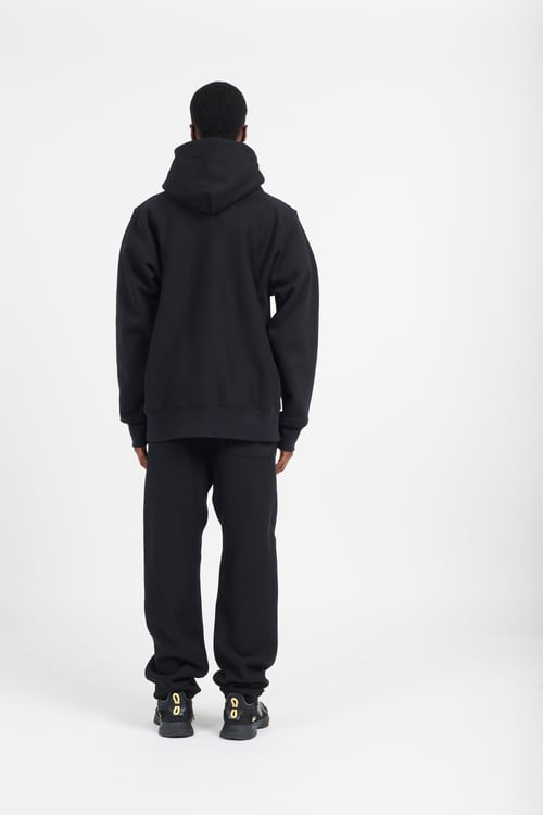 CHAMPION Hoodie Multicolore