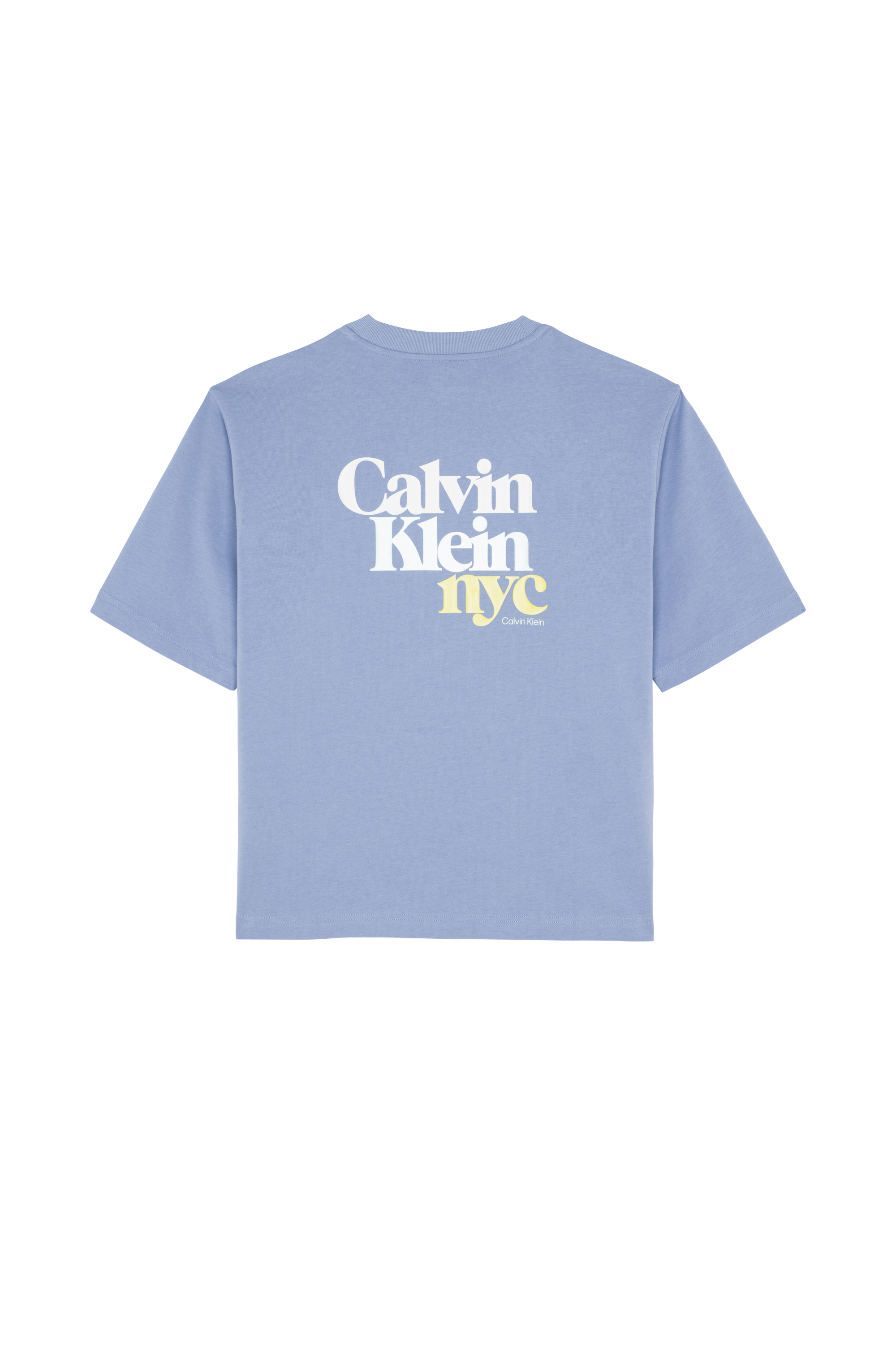 Regular-fit round-neck cotton T-shirt Blue