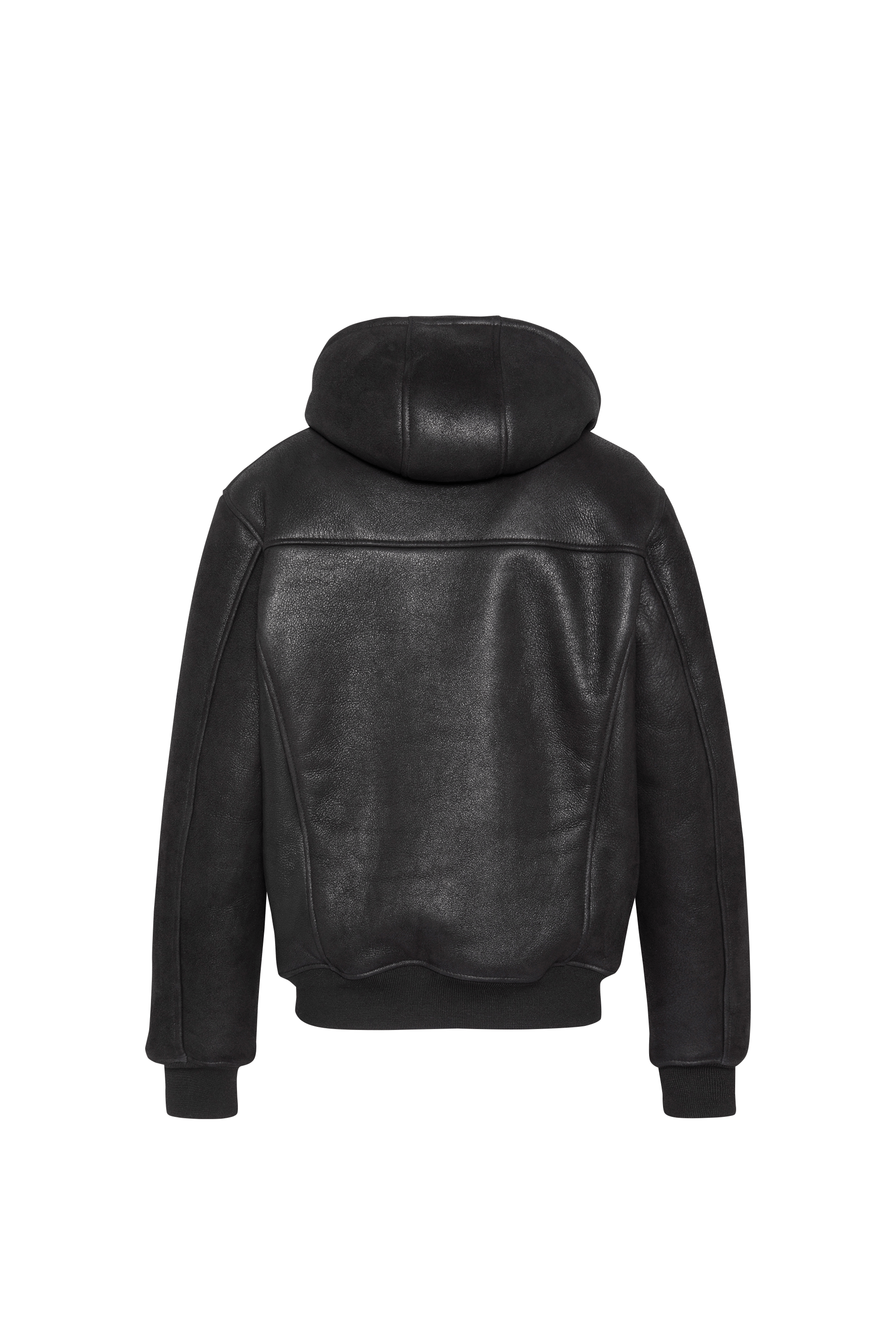 Blouson | Noir SCHOTT Homme