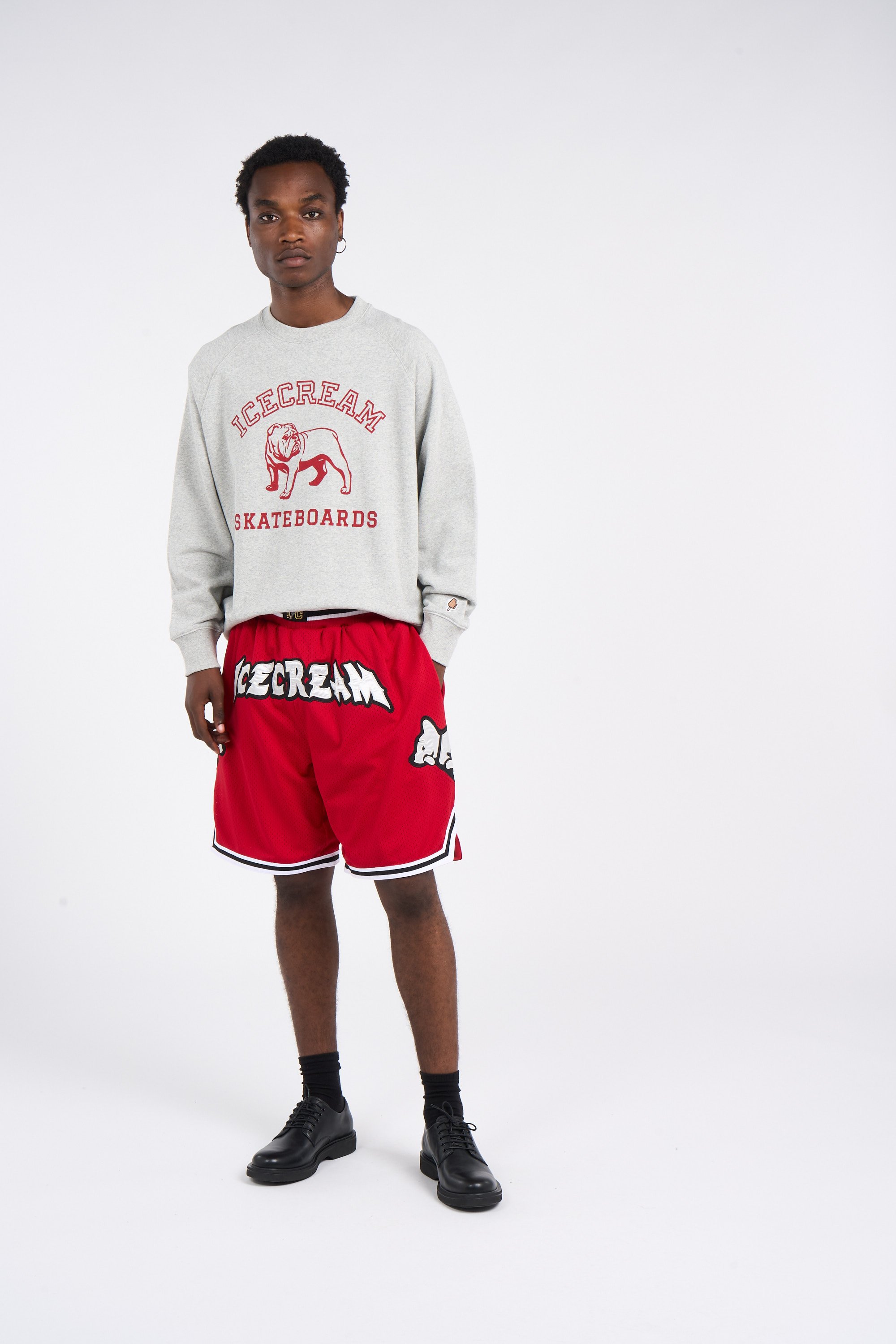 Sweatshirt ICE CREAM Gris