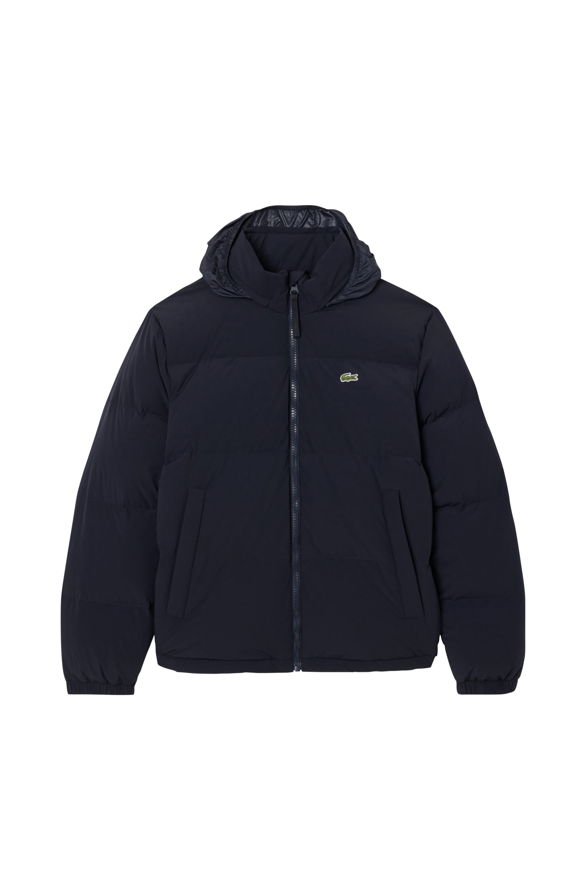 DOUDOUNE | Bleu LACOSTE Homme