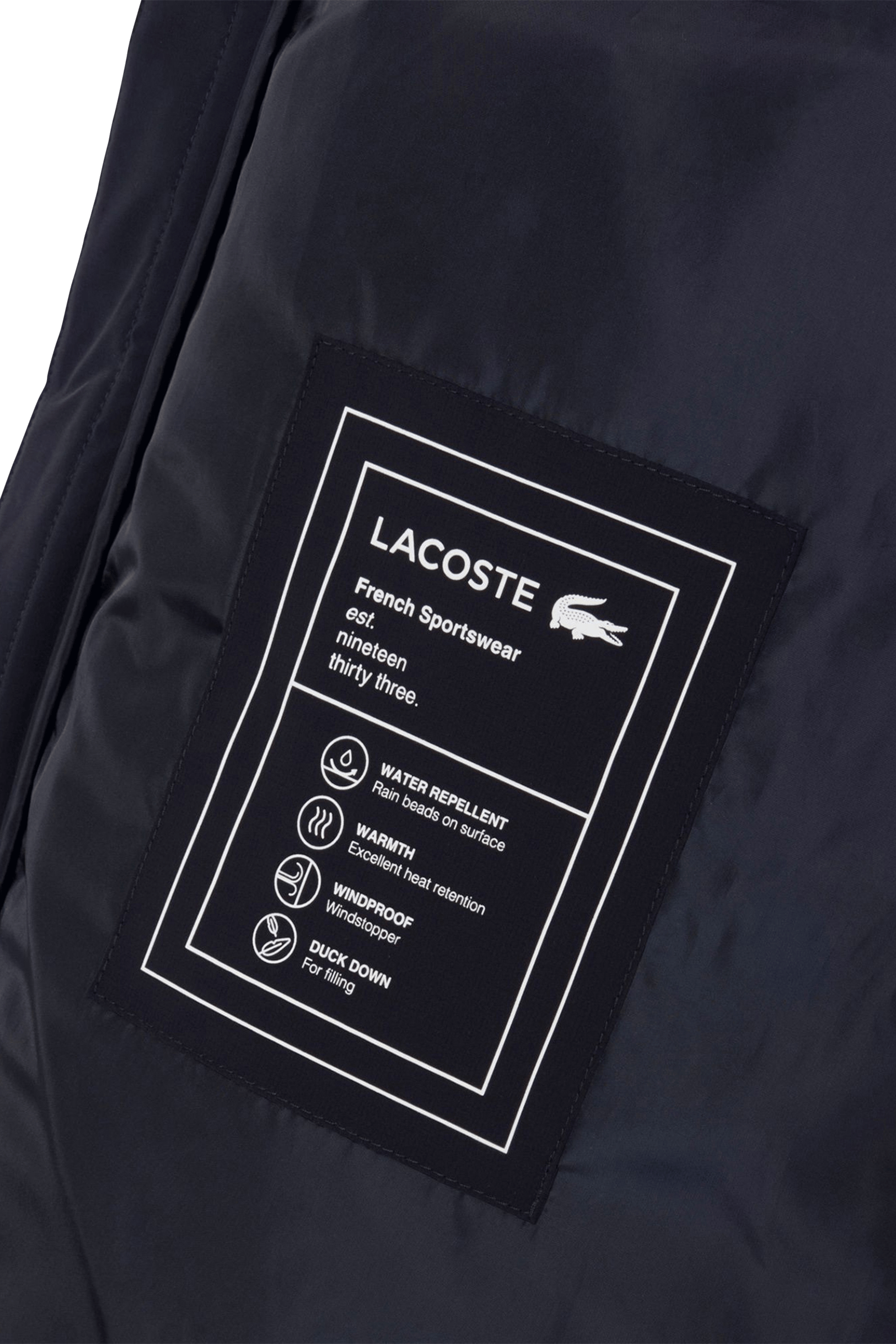 DOUDOUNE | Bleu LACOSTE Homme