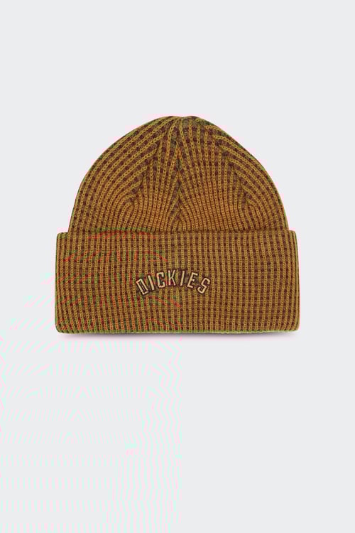 DICKIES Hats Green