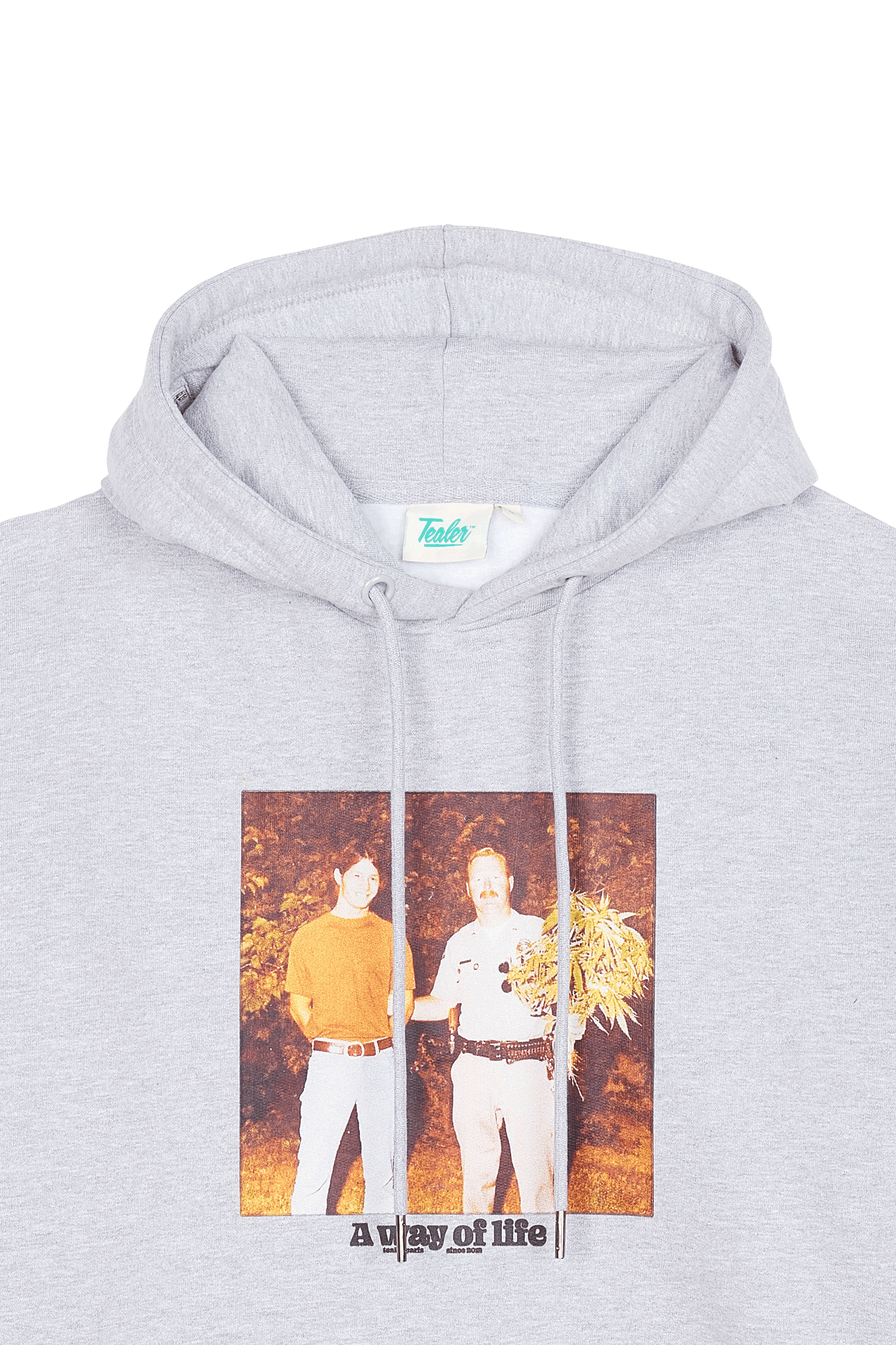Hoodie Grey