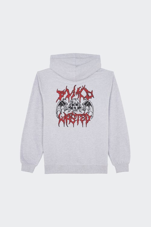 WASTED Hoodie zippé  Gris