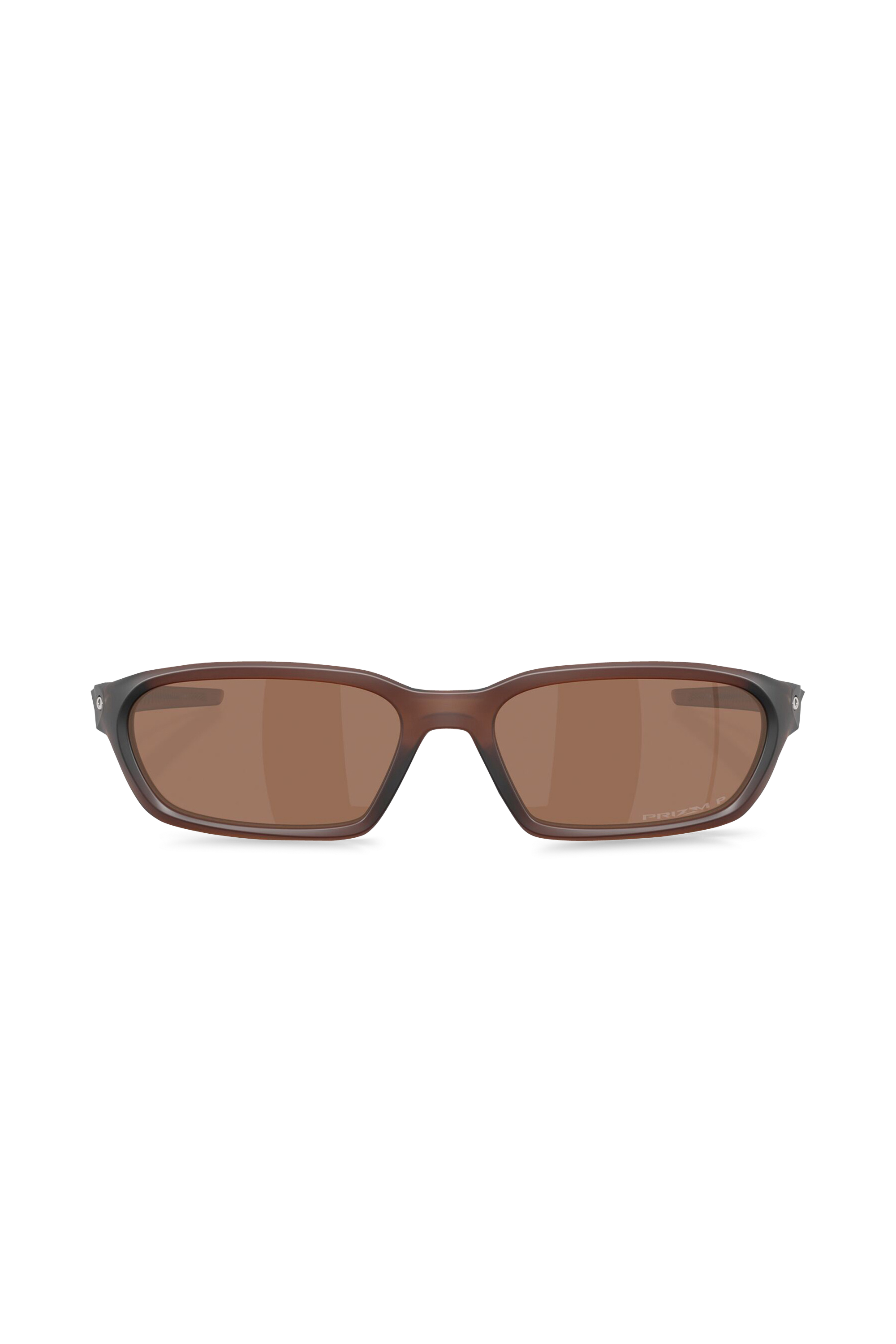 Alumni sunglasses TERRAFORMA Matte rootbeer