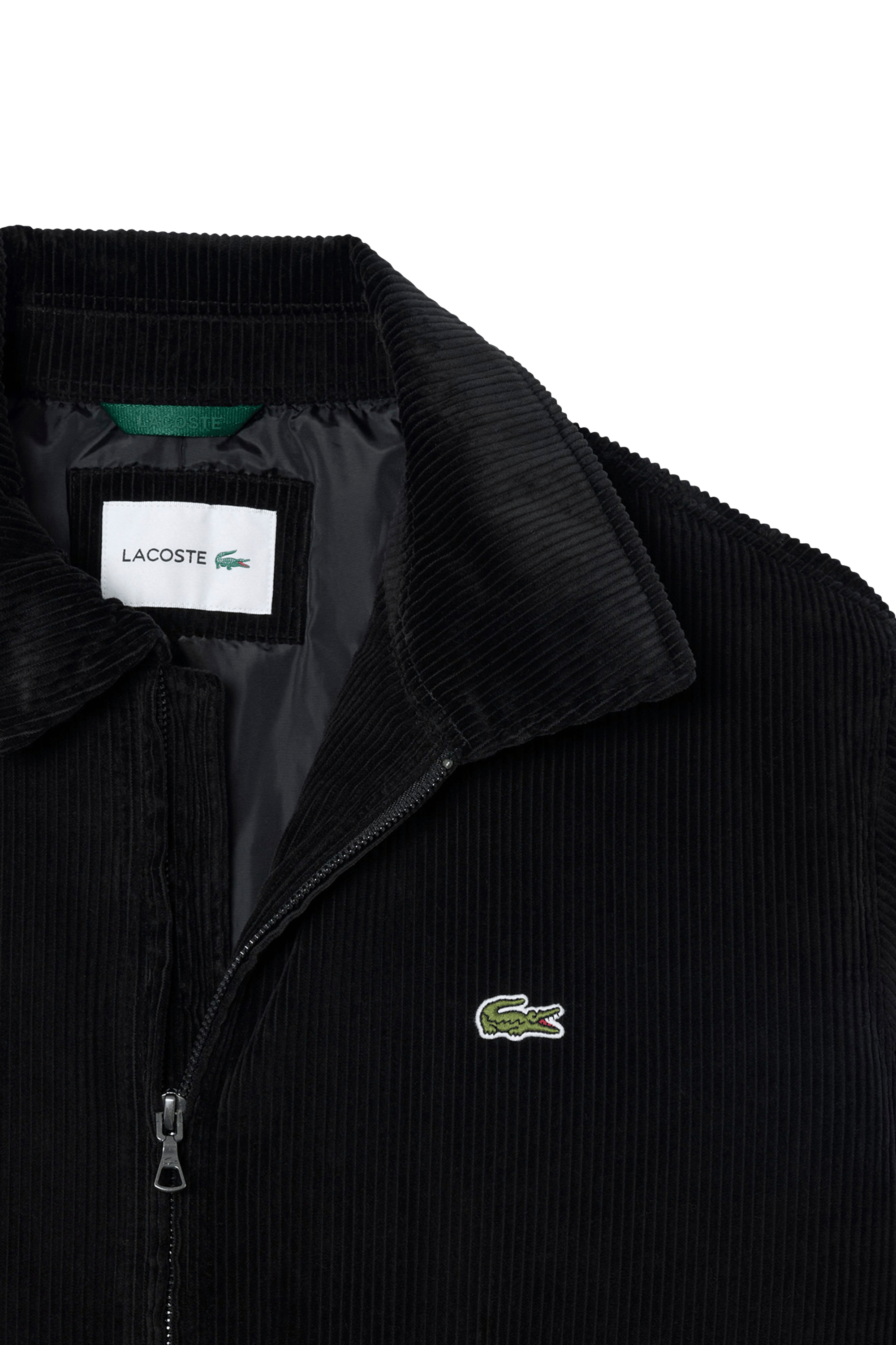 Veste | Noir LACOSTE Homme