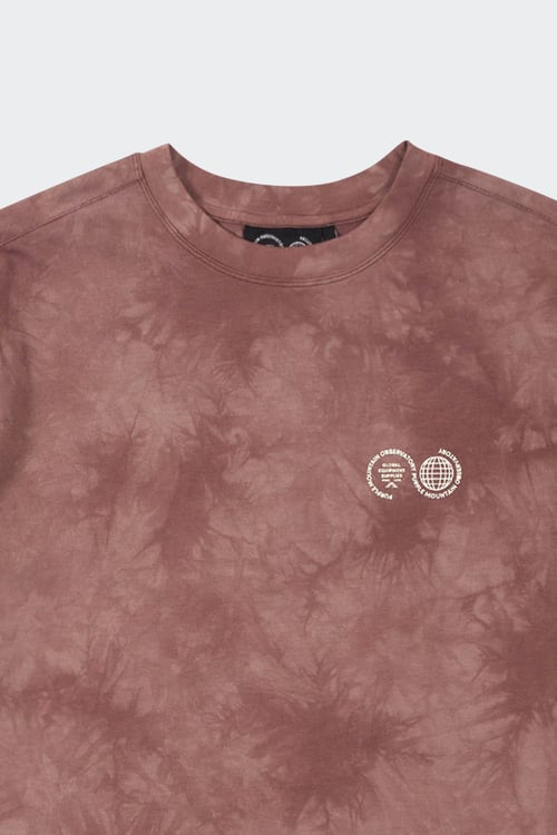 PURPLE MOUNTAIN OBSERVATORY T-shirt Marron