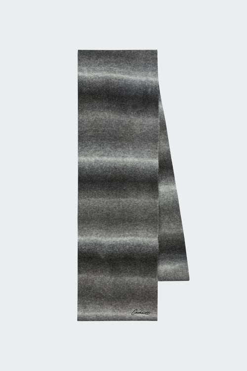 CARHARTT WIP Echarpe Gris