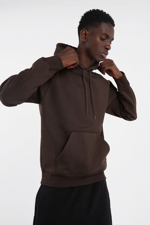 CARHARTT WIP Hoodie Marron