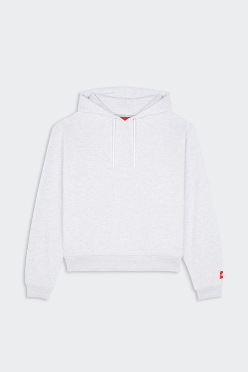 THE NORTH FACE Hoodie Gris