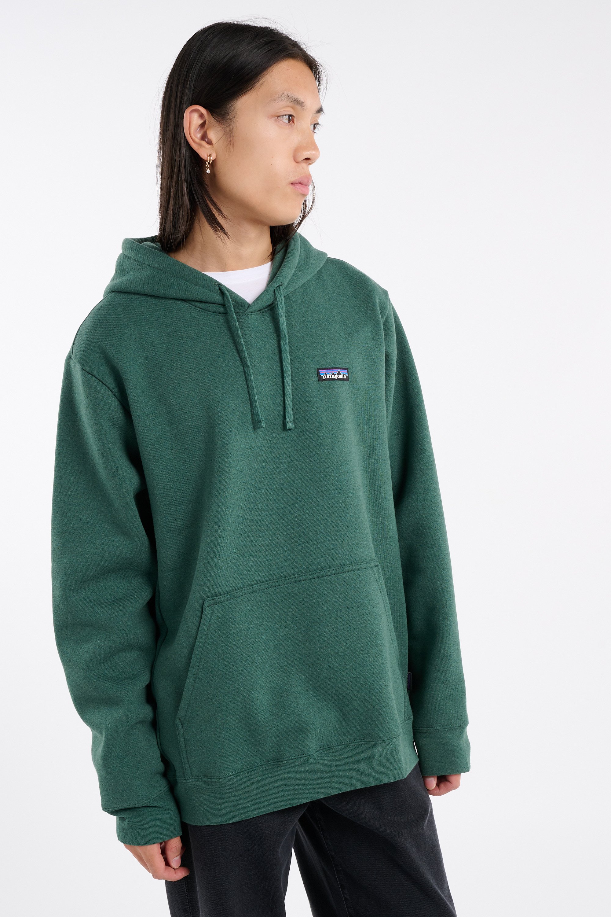 Sweat à capuche uni | Vert PATAGONIA Homme