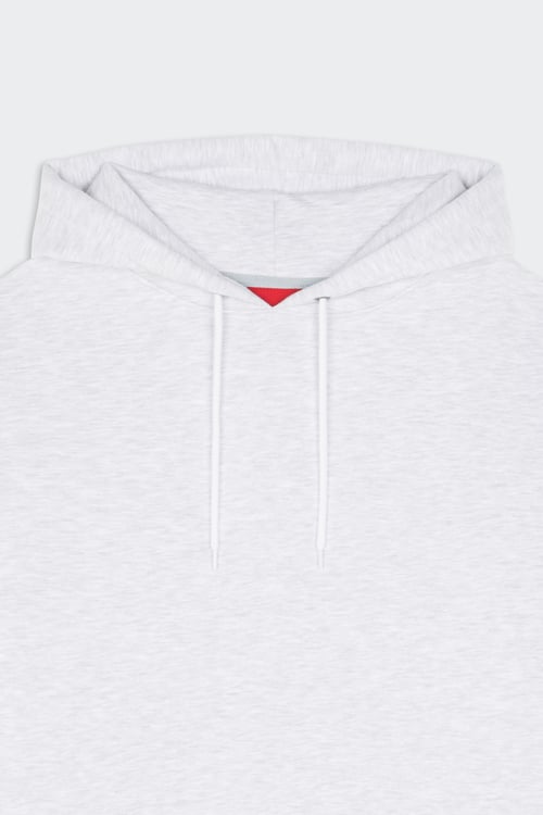 THE NORTH FACE Hoodie Gris
