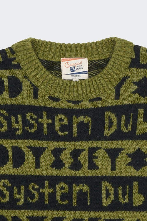 CHAMPION Pull Vert