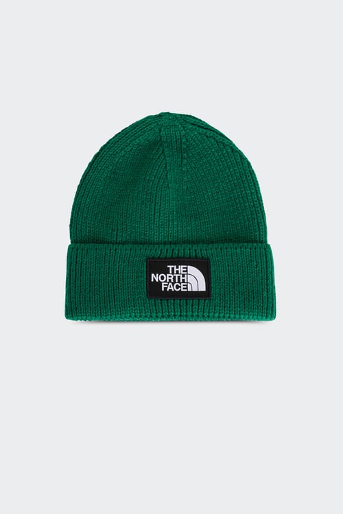 THE NORTH FACE Bonnet Vert