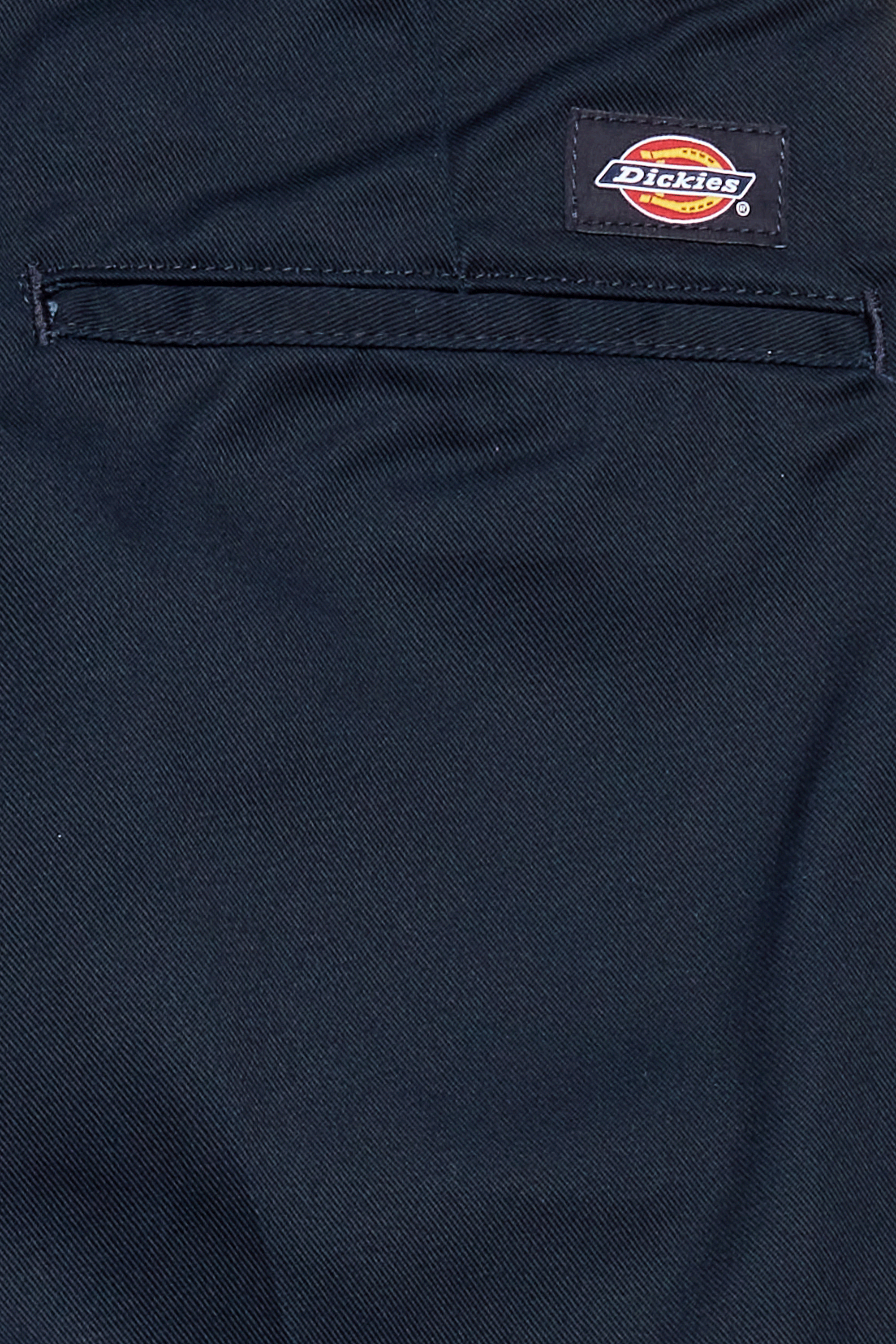trousers | Blue DICKIES Men
