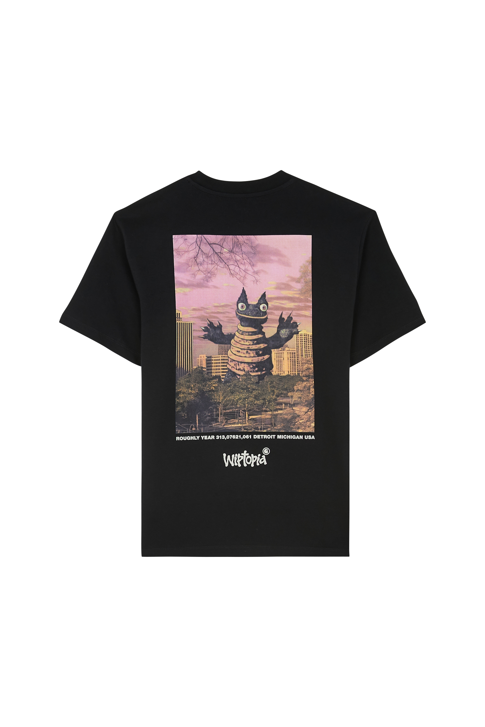 Regular-fit round-neck cotton T-shirt Black