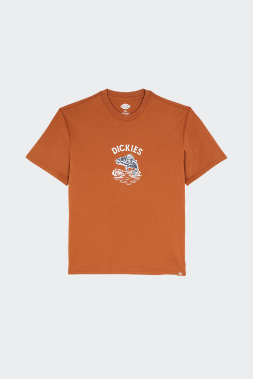 DICKIES T-shirt Orange