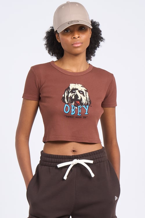 OBEY T-shirt Marron