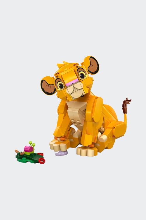 LEGO Jeu Multicolore