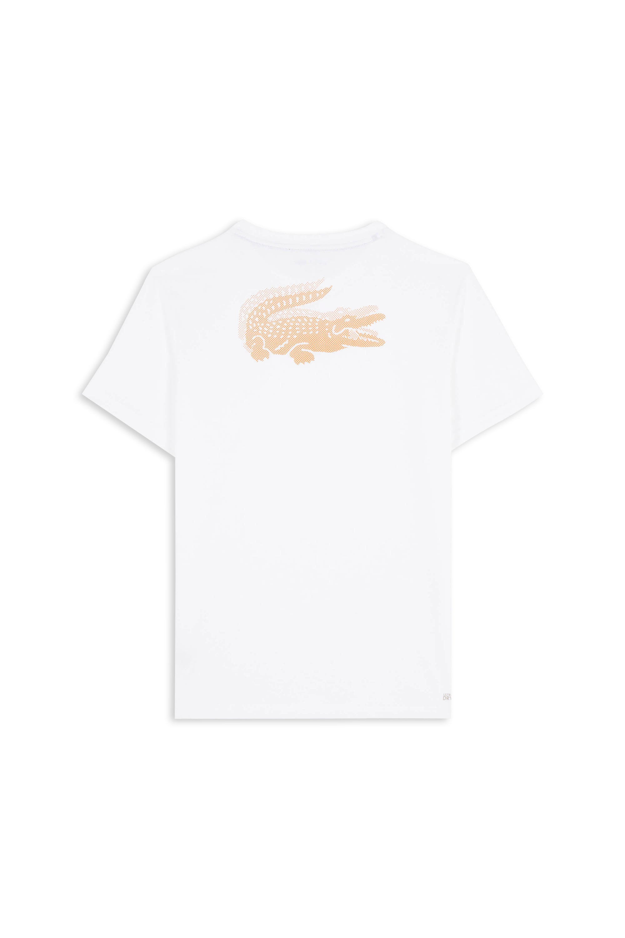 T-shirt | Blanc LACOSTE Homme