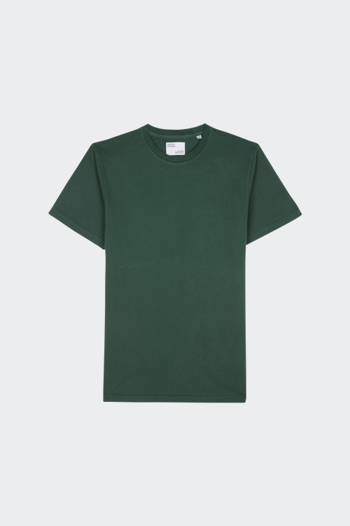 COLORFUL STANDARD T-shirt Vert