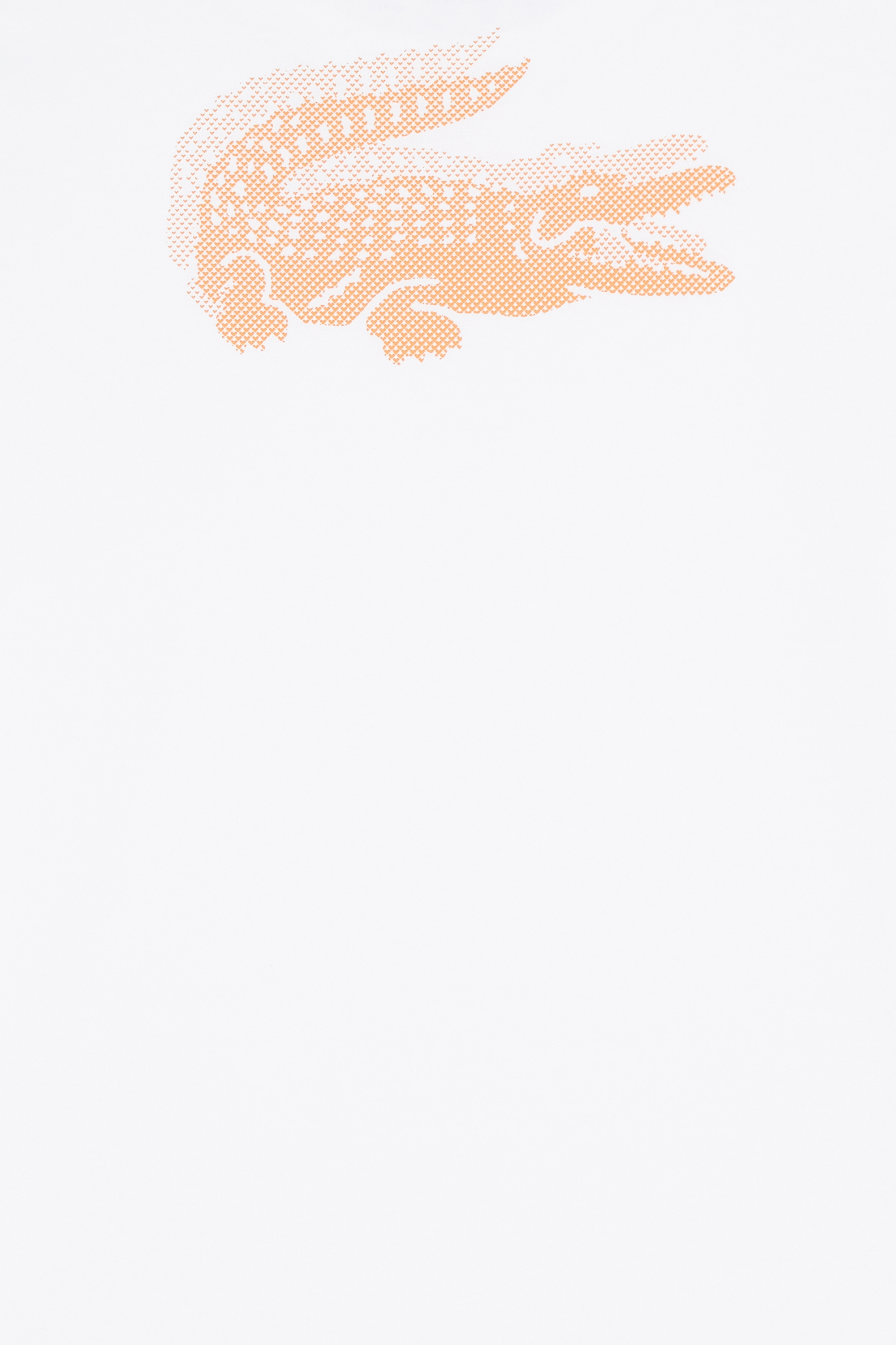 T-shirt | Blanc LACOSTE Homme
