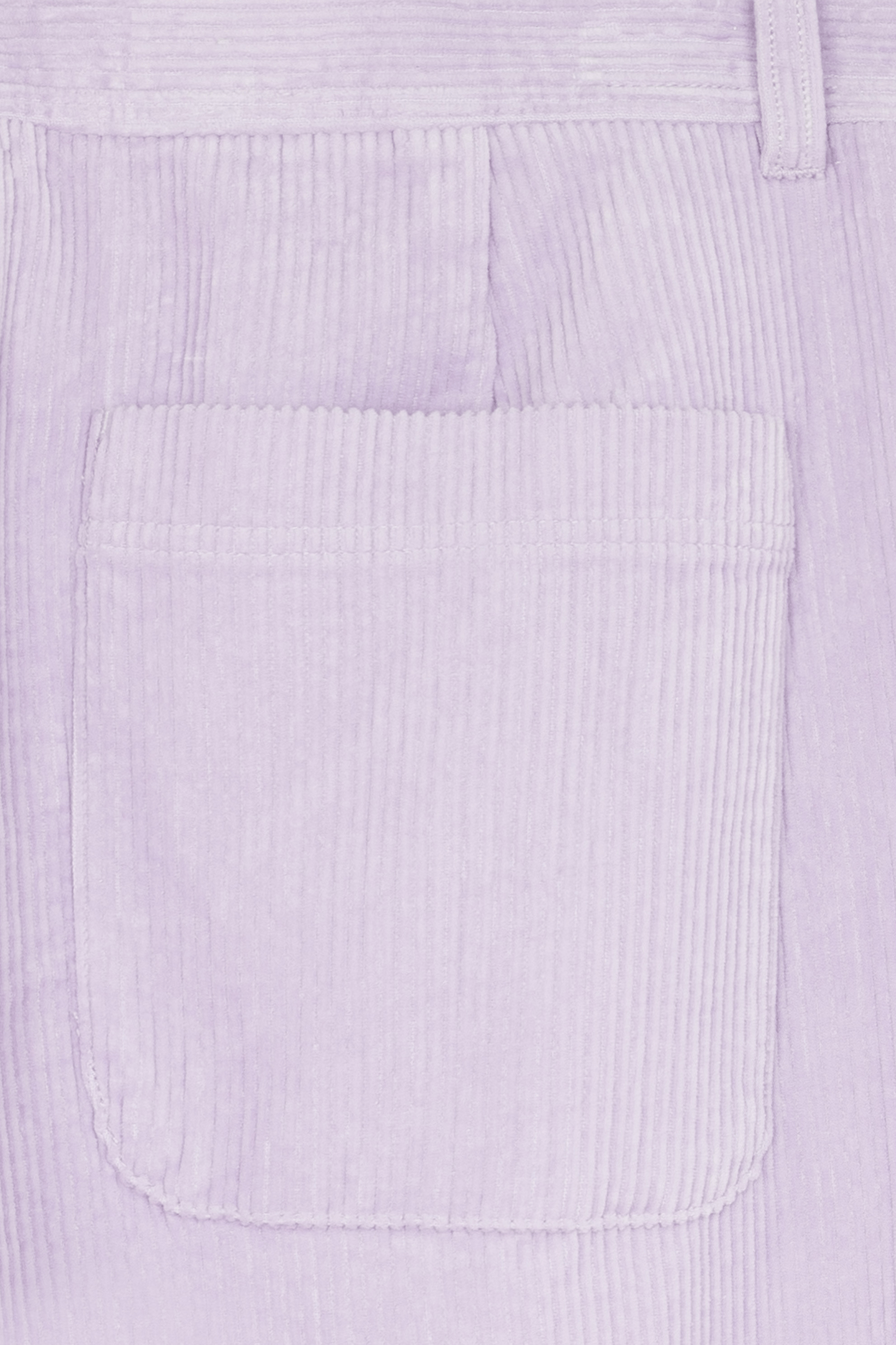 Trousers Purple