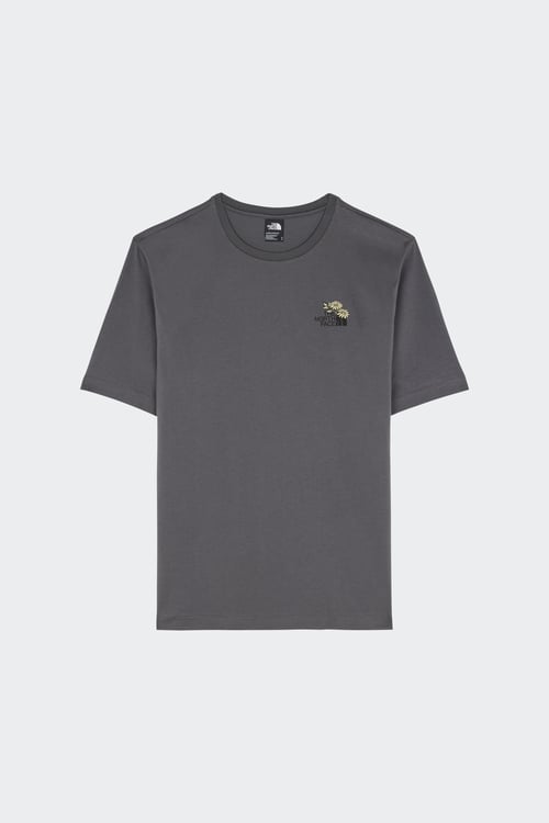THE NORTH FACE T-shirt Gris