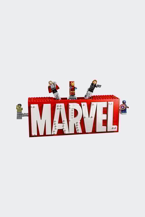 LEGO Jeu Multicolore